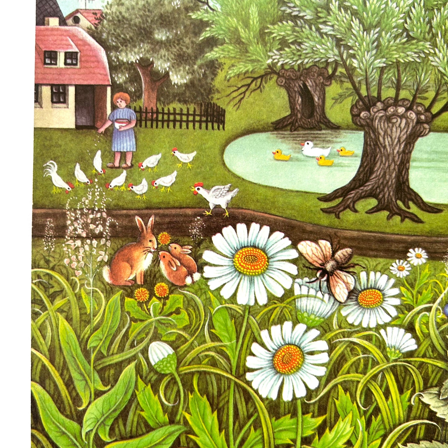 Letnia taka (Summer Meadow)
