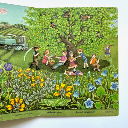 Letnia taka (Summer Meadow)