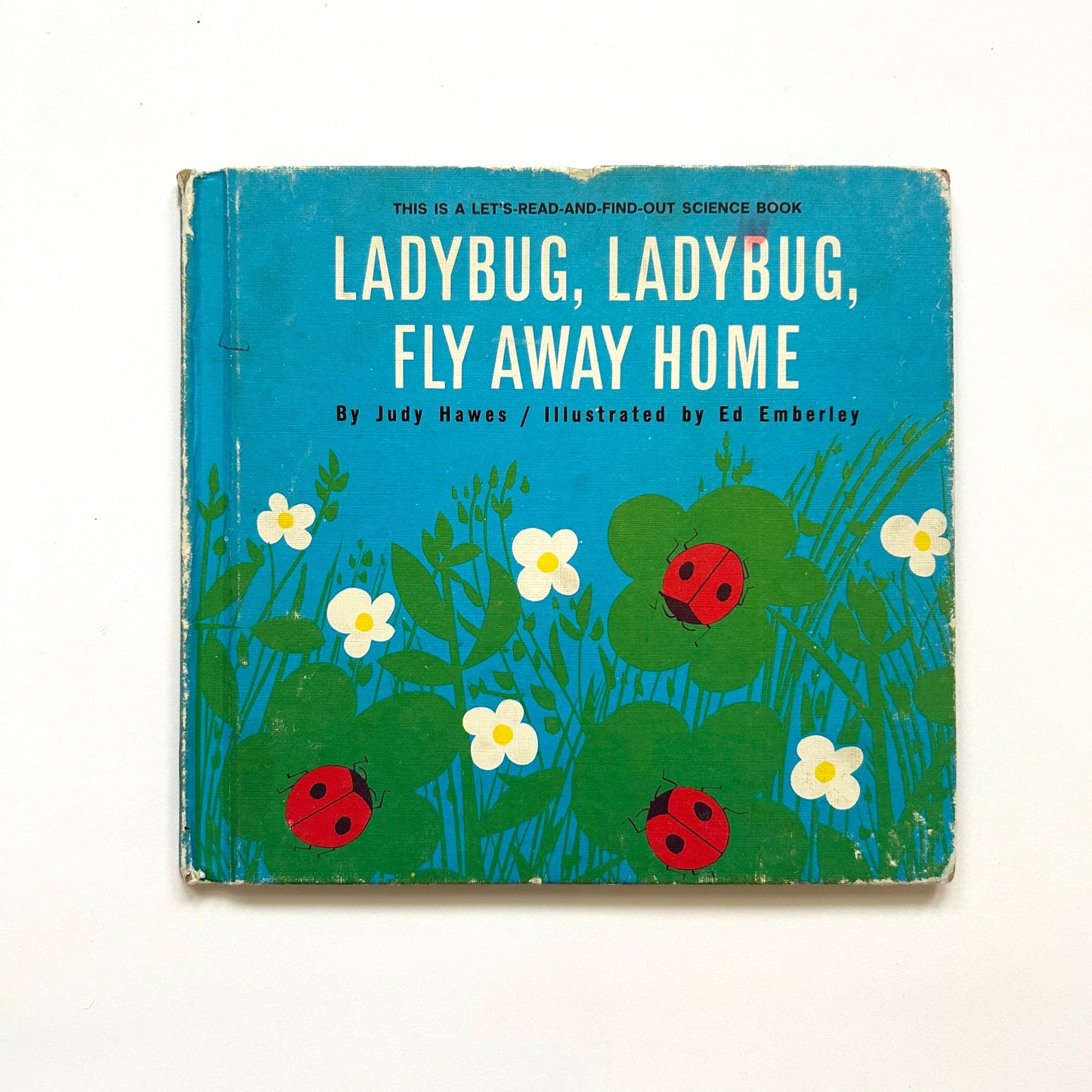 Ladybug, Ladybug, Fly Away Home