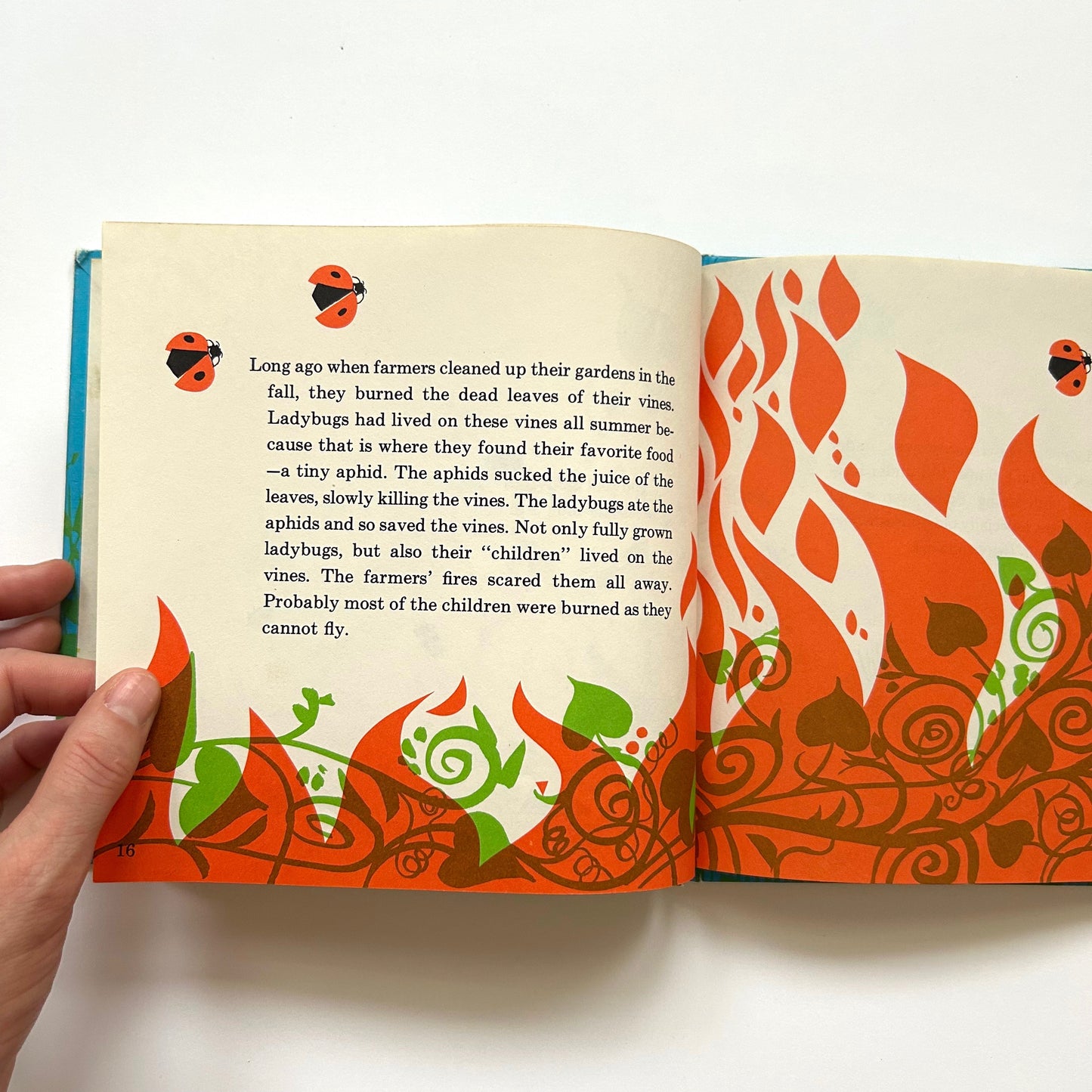 Ladybug, Ladybug, Fly Away Home