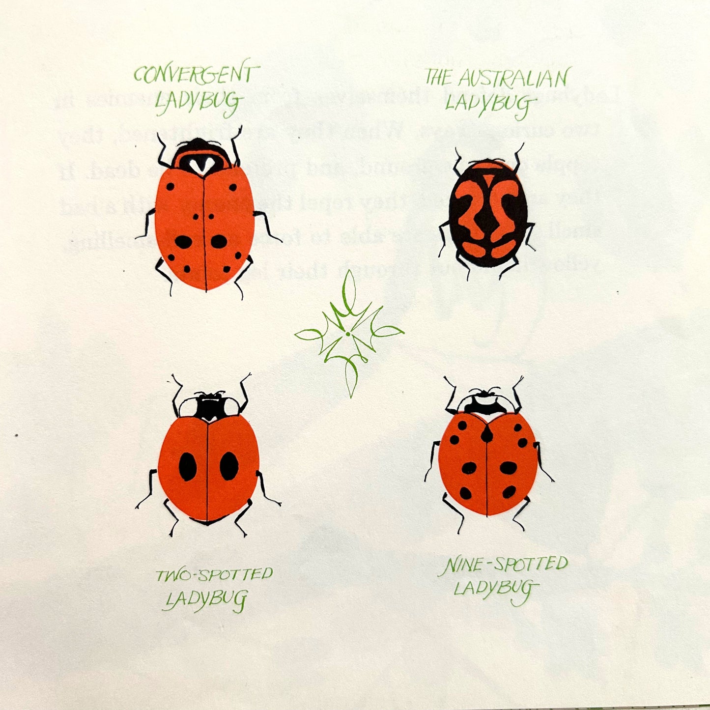 Ladybug, Ladybug, Fly Away Home