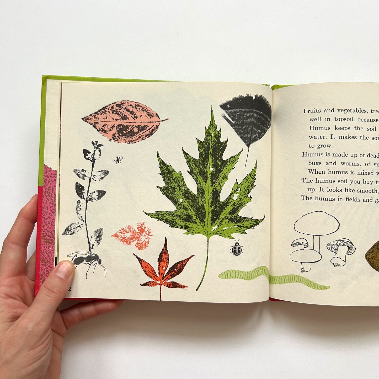 Where Does Your Garden Grow?