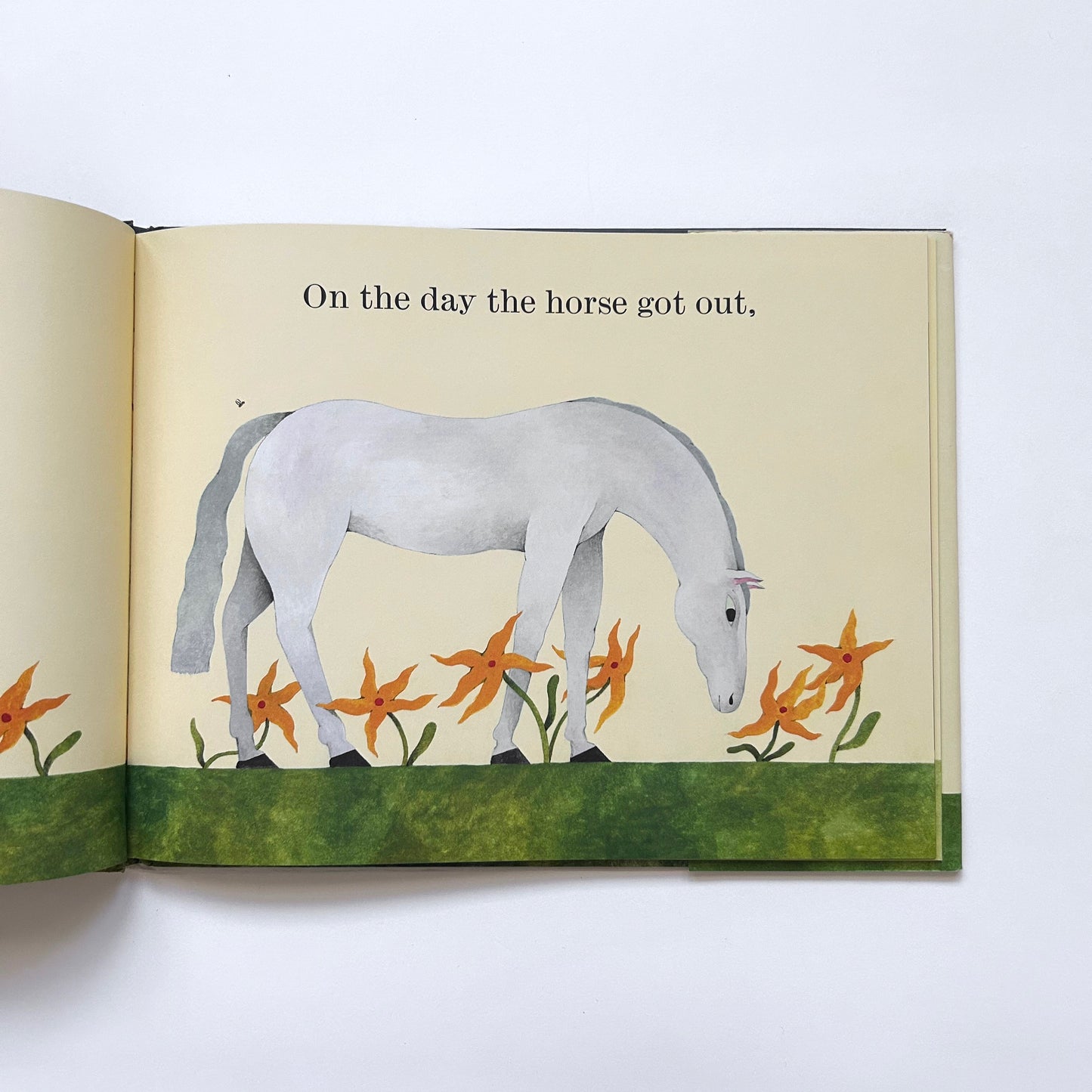 On the Day the Horse Got Out