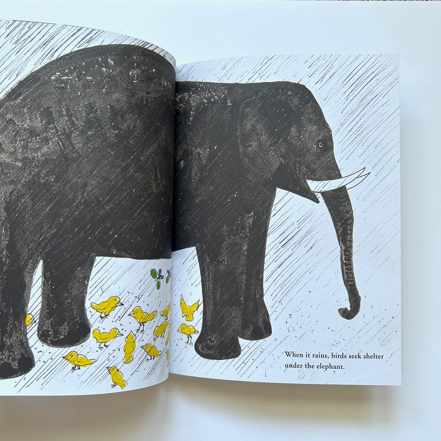 Bruno Munari's Zoo