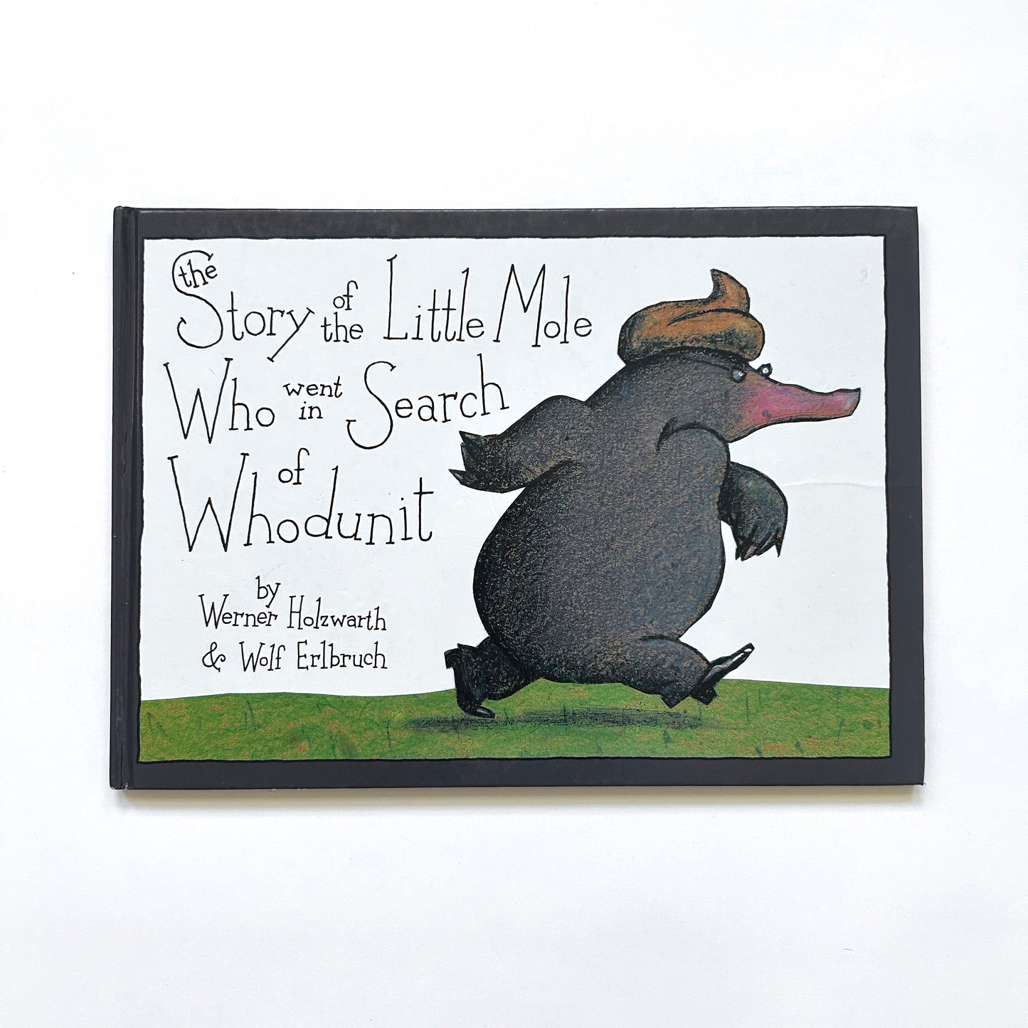 The Story of the Little Mole Who Went in Search of Whodunit