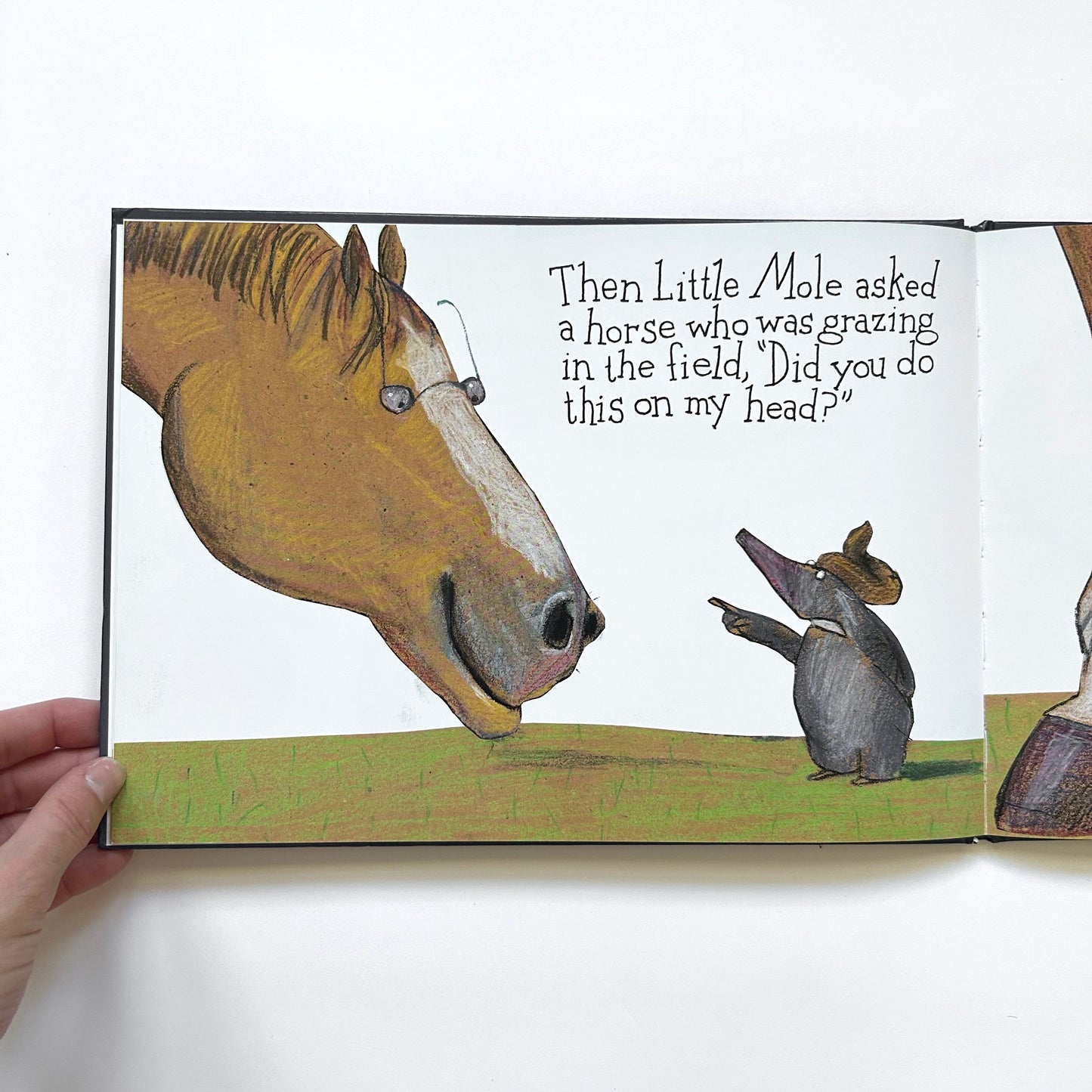 The Story of the Little Mole Who Went in Search of Whodunit