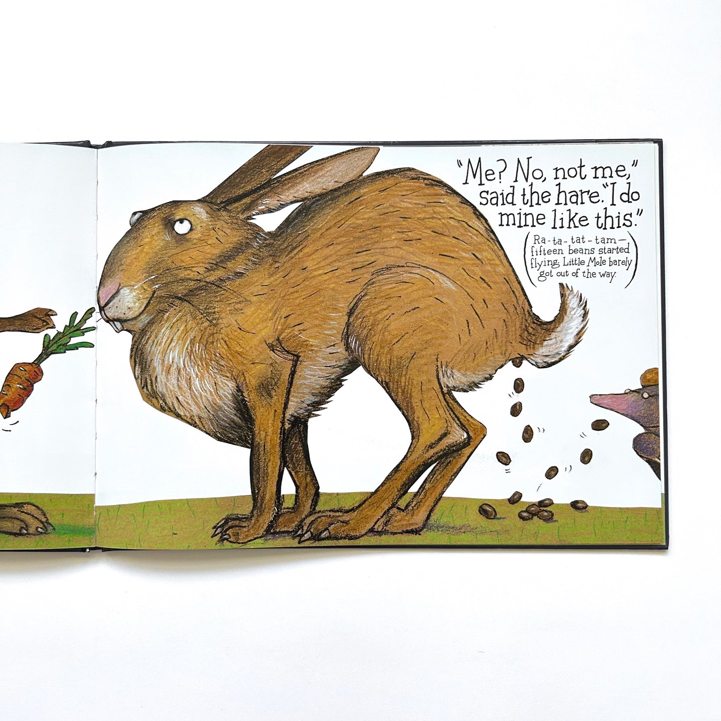 The Story of the Little Mole Who Went in Search of Whodunit