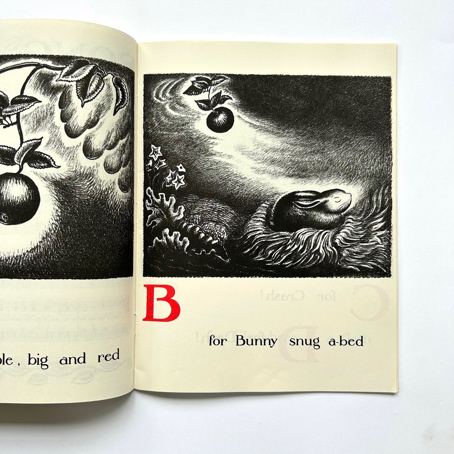 The ABC Bunny