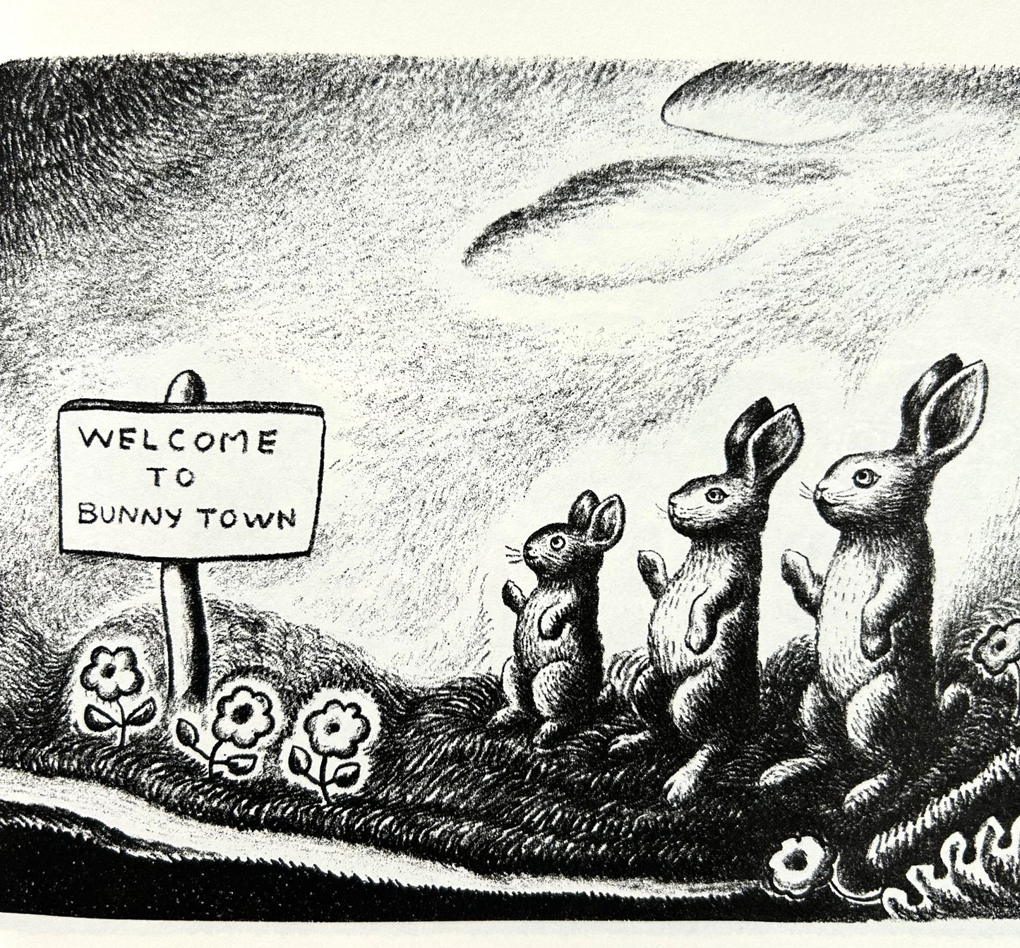 The ABC Bunny