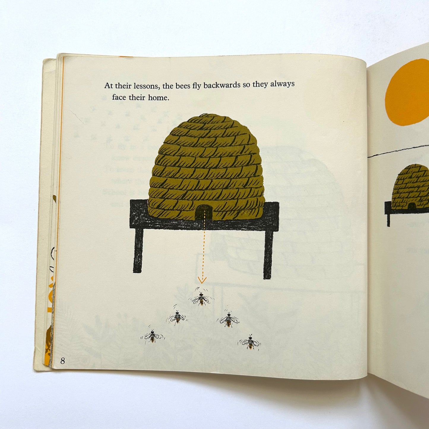 Bees and Beelines