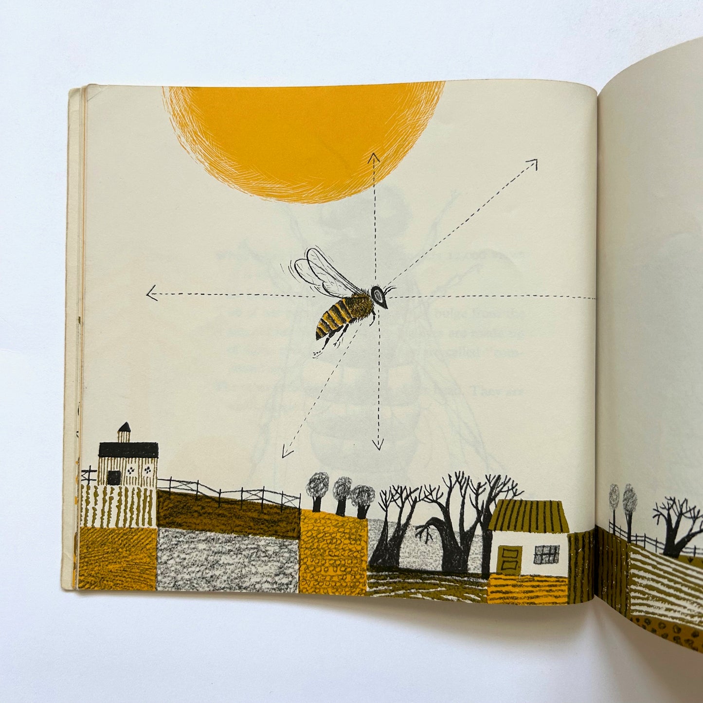 Bees and Beelines