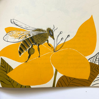 Bees and Beelines