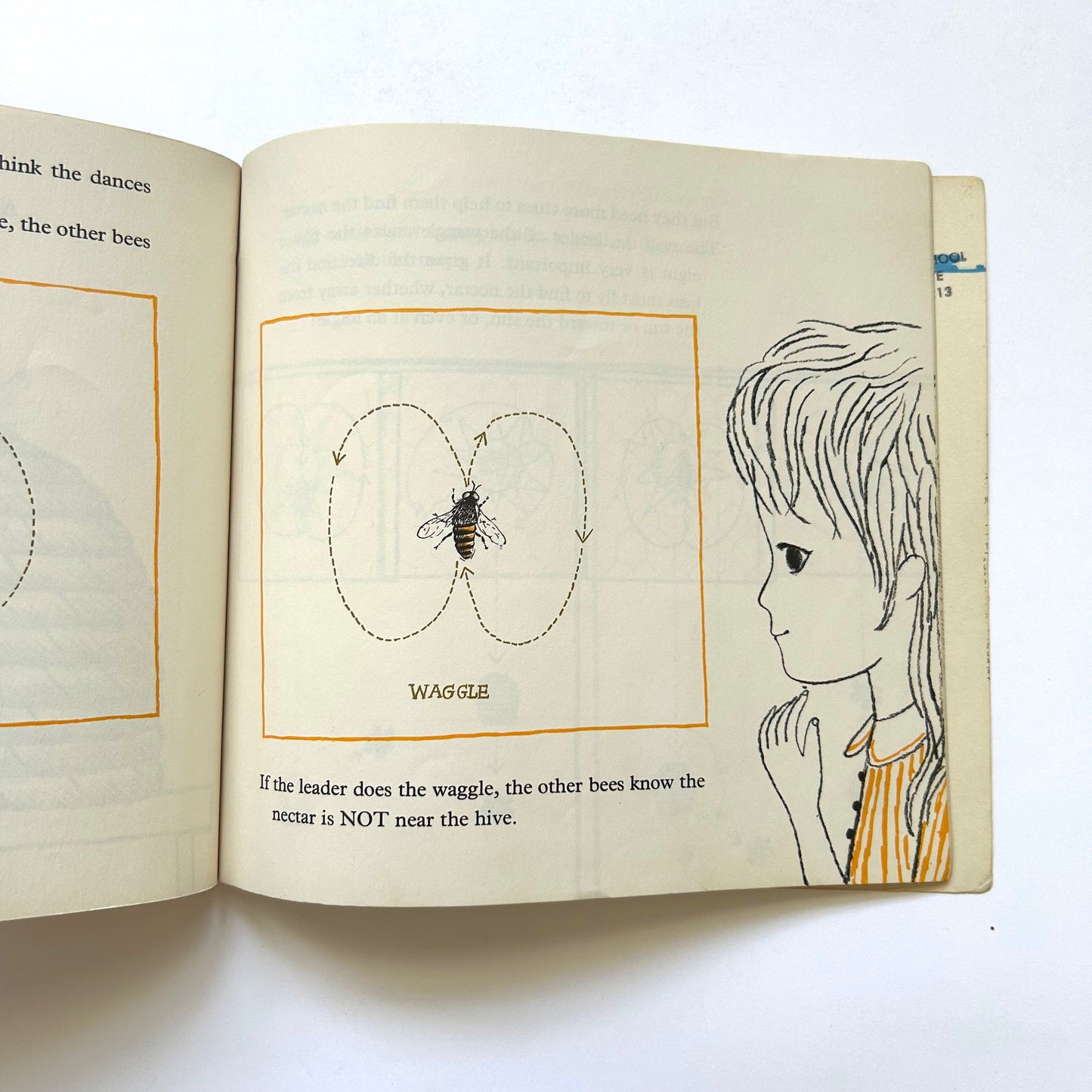 Bees and Beelines