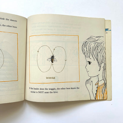 Bees and Beelines