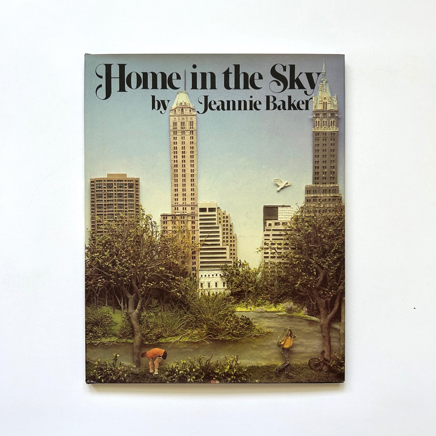 Home in the Sky