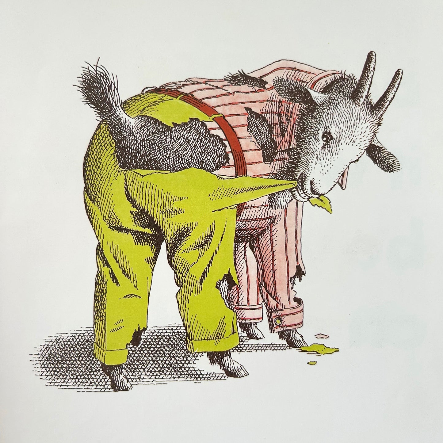 Animals Should Definitely Not Wear Clothing