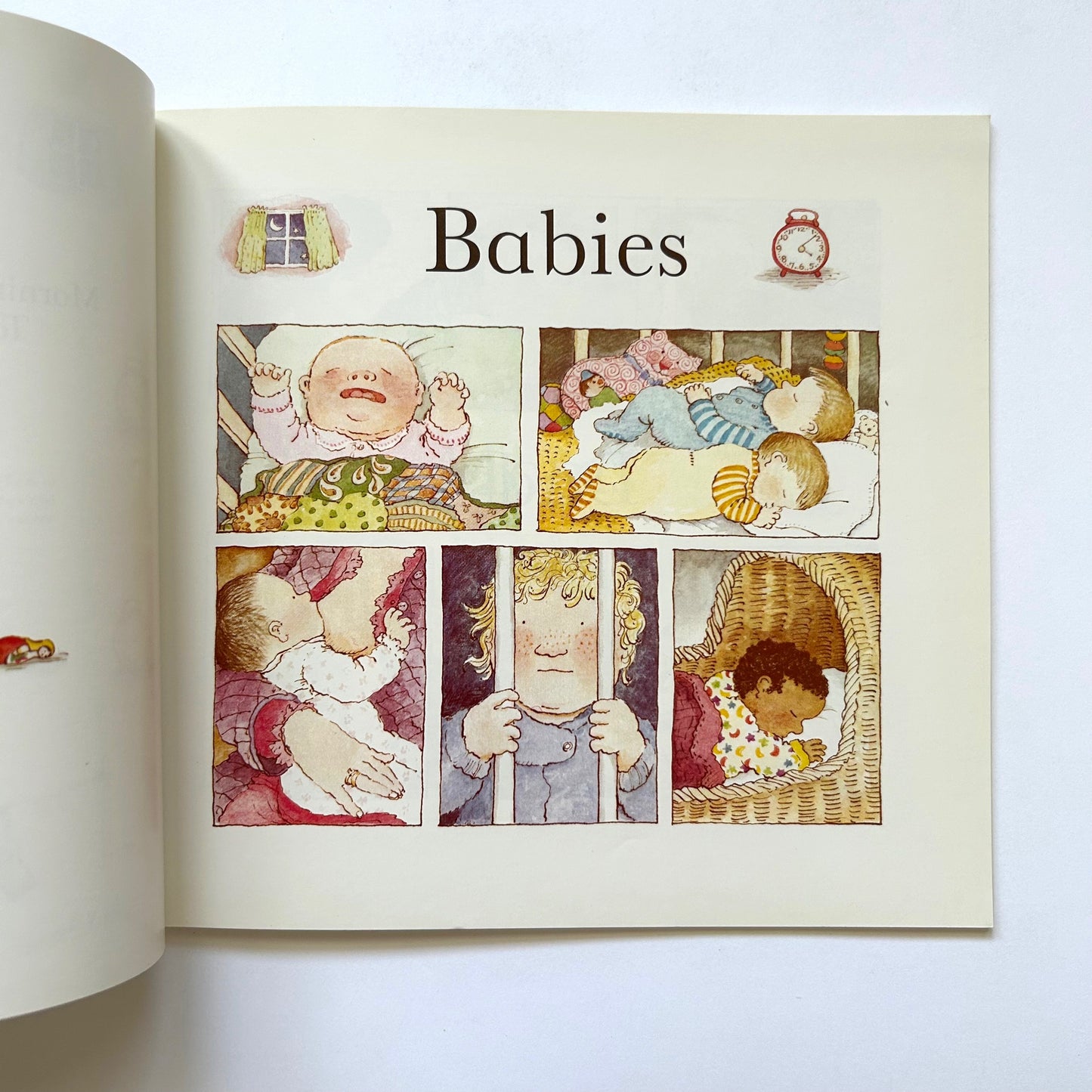 The Baby's Catalogue