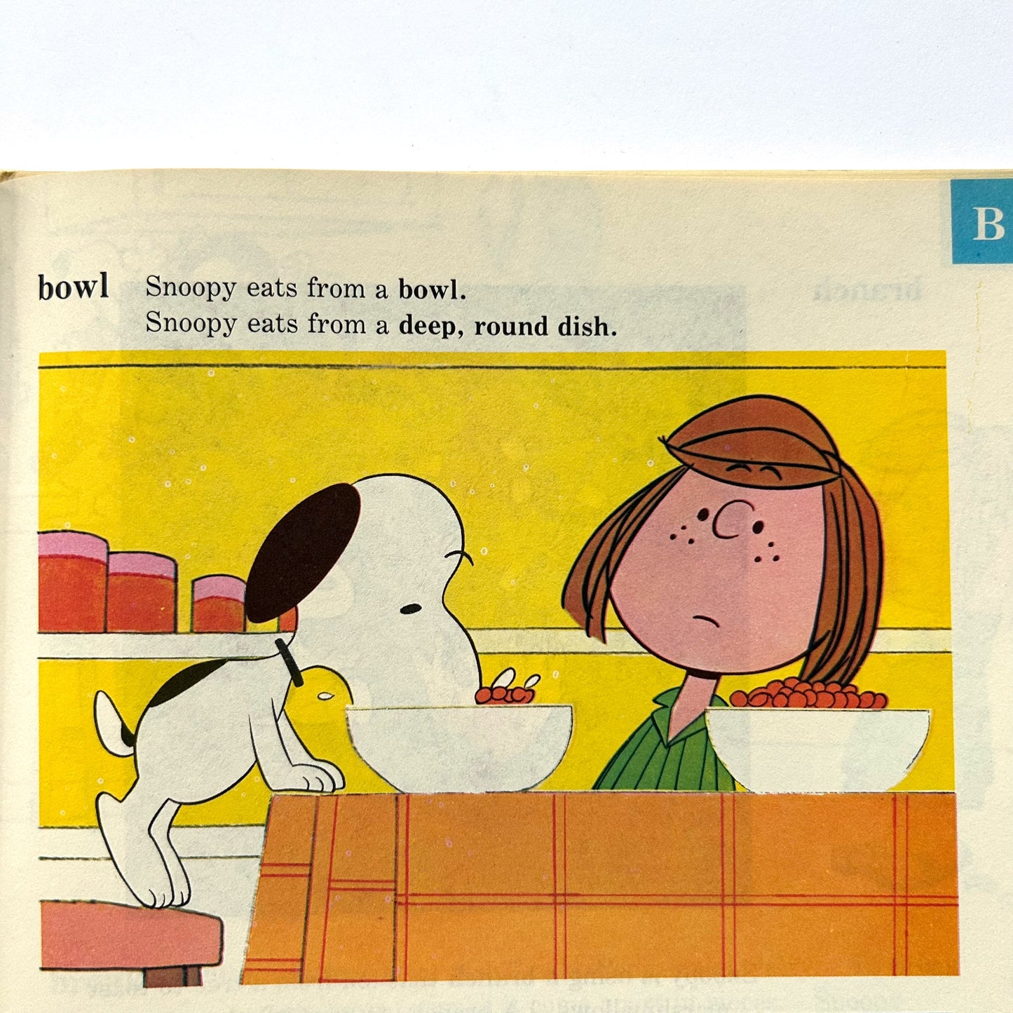 The Charlie Brown Dictionary Volume 1