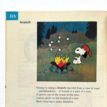 The Charlie Brown Dictionary Volume 1