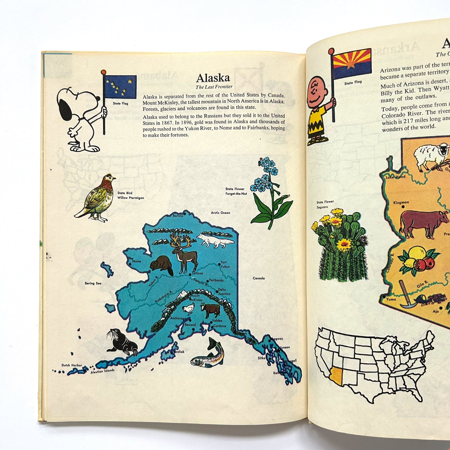 The Charlie Brown Dictionary Volume 1