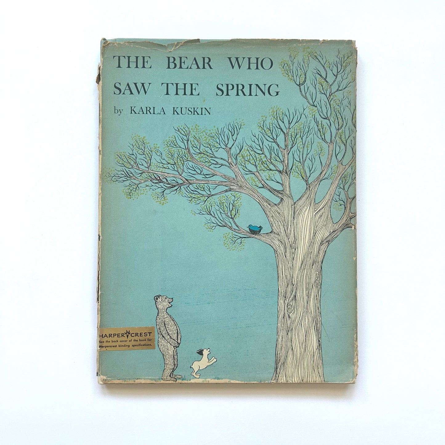 The Bear Who Saw the Spring