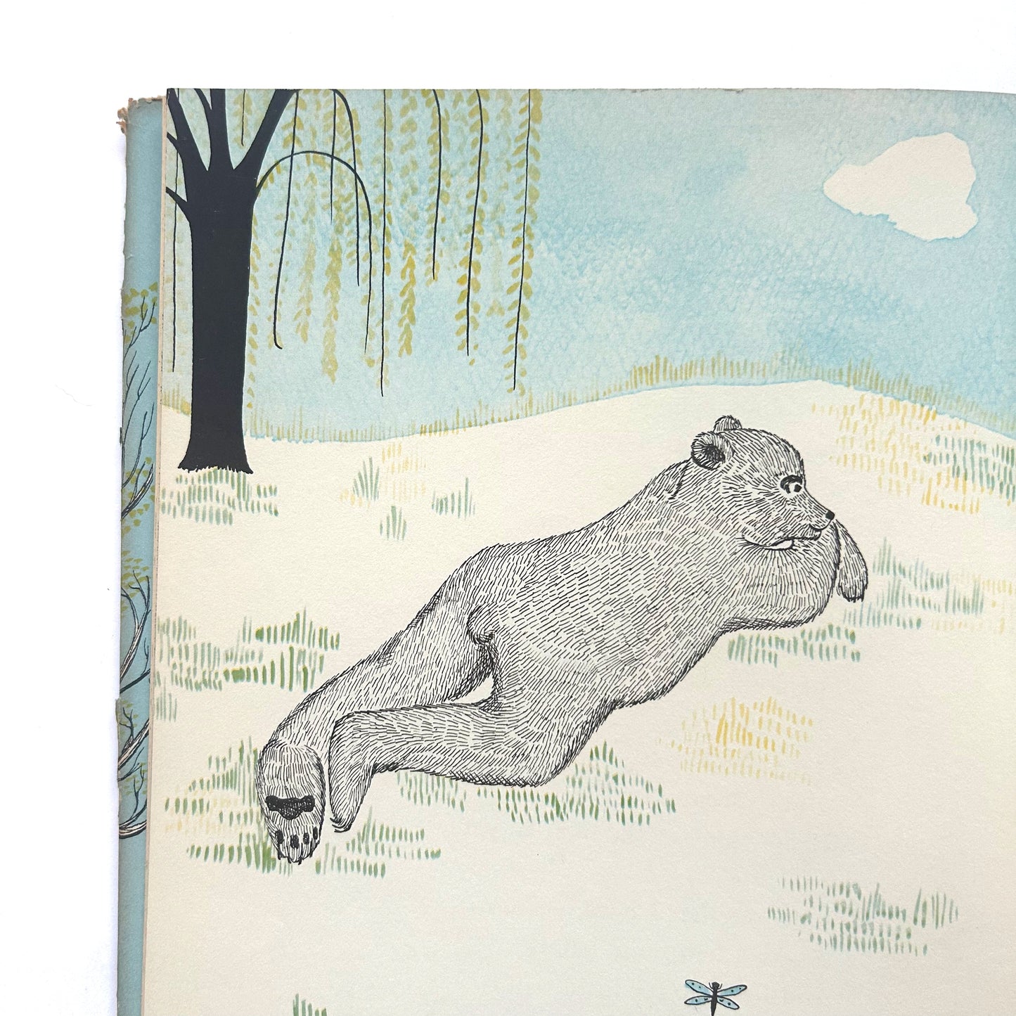 The Bear Who Saw the Spring