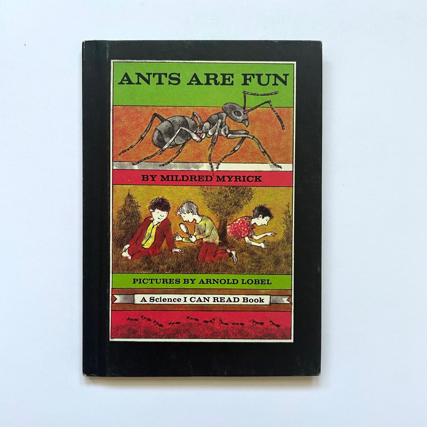 Ants Are Fun