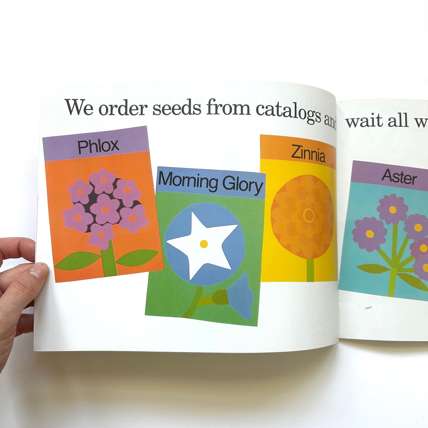Planting a Rainbow