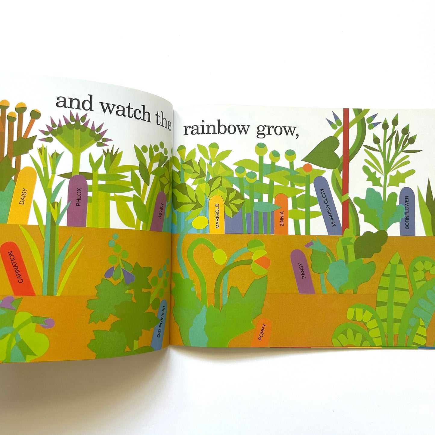 Planting a Rainbow