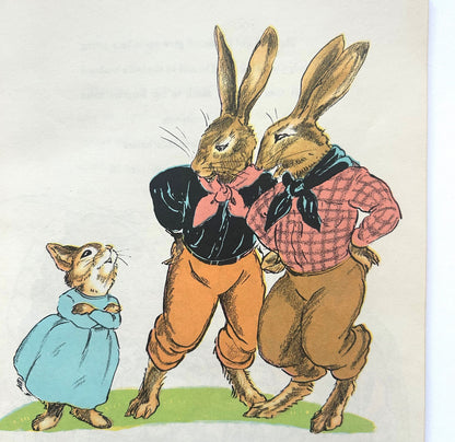 The Country Bunny