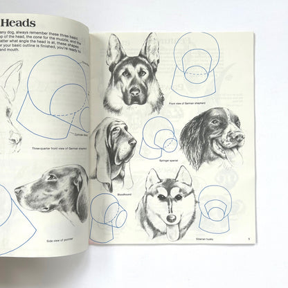 How to Draw Dogs