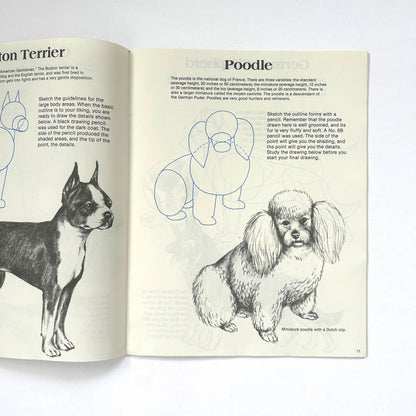 How to Draw Dogs