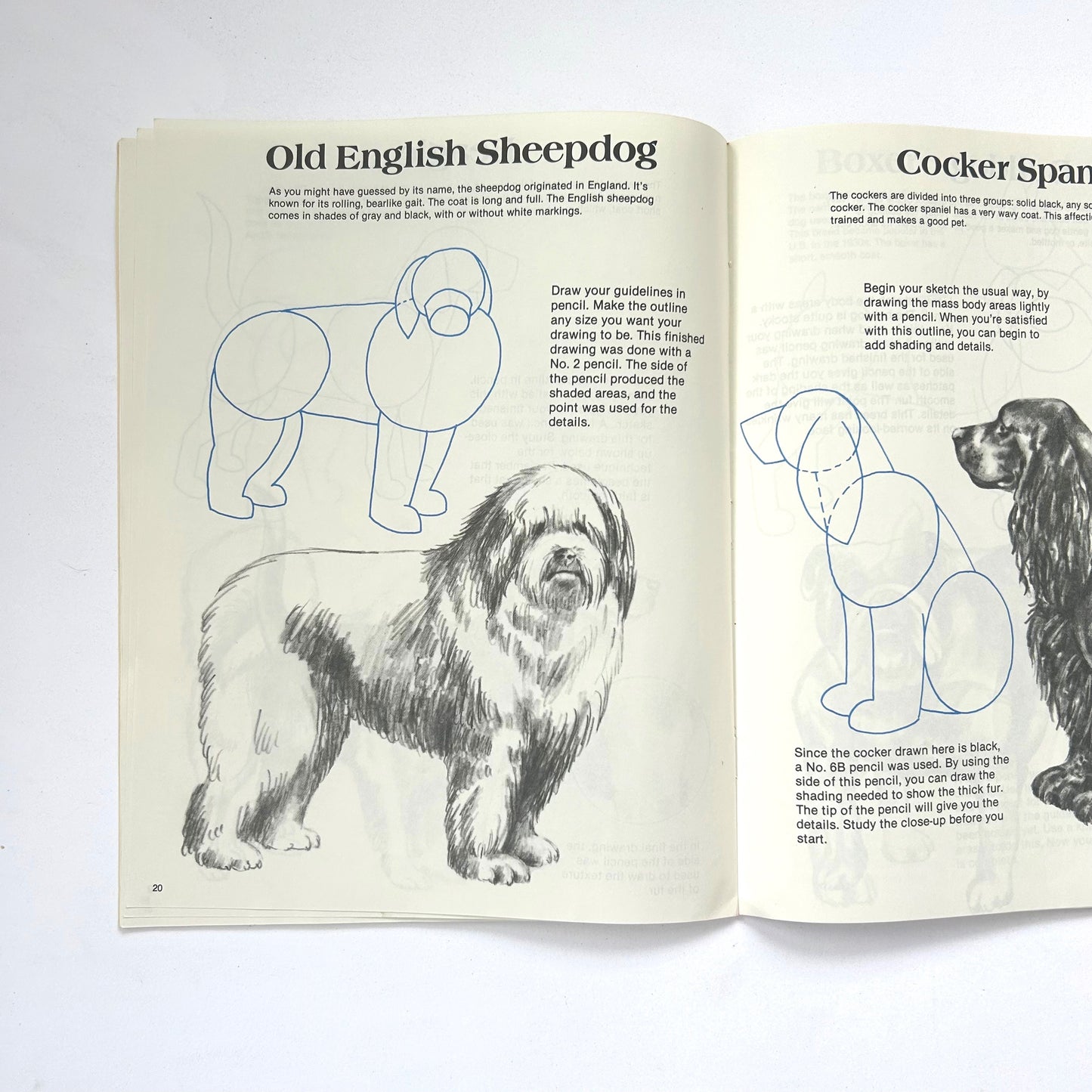 How to Draw Dogs