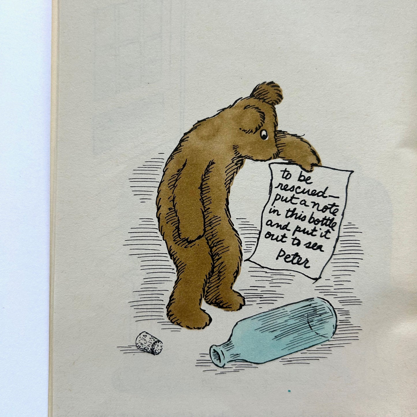 The Forgotten Bear