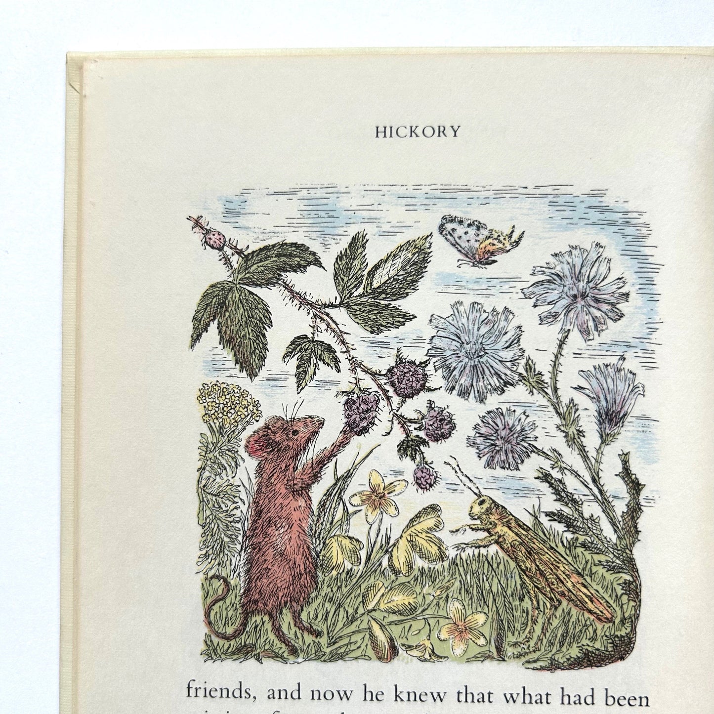 Hickory