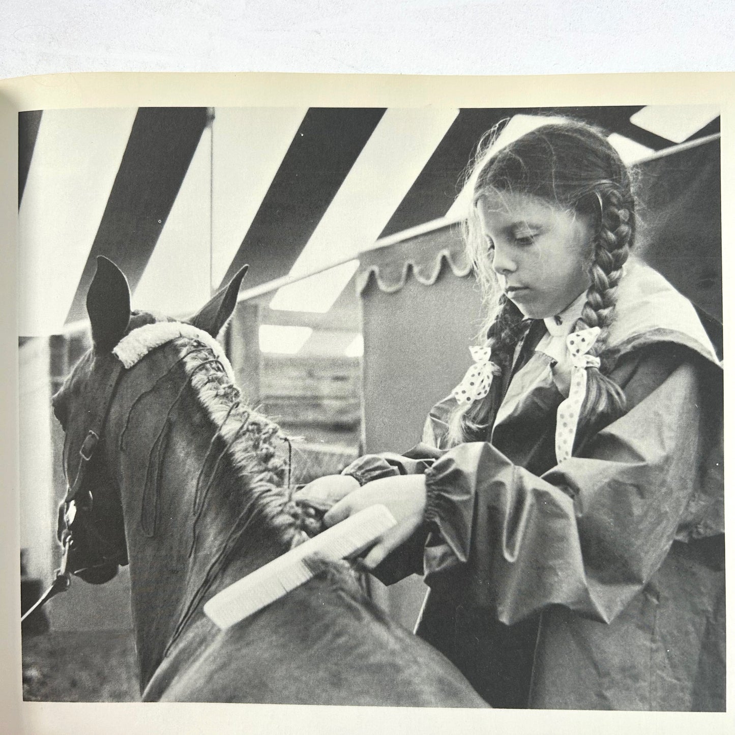 A Very Young Rider