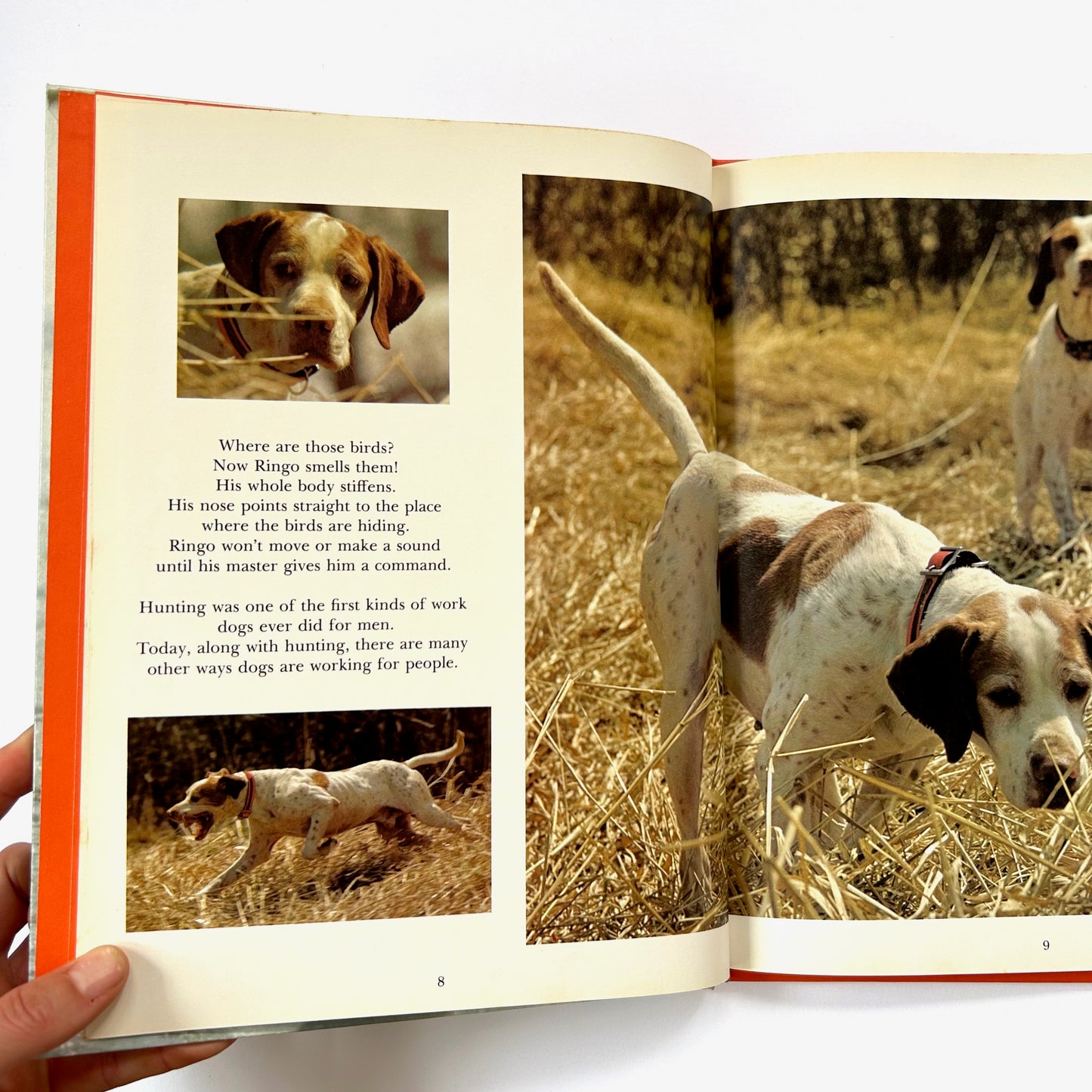 Dogs Working For People