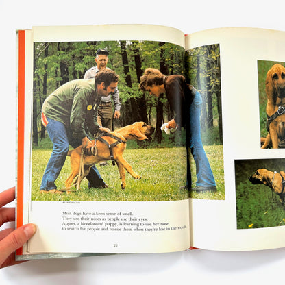 Dogs Working For People