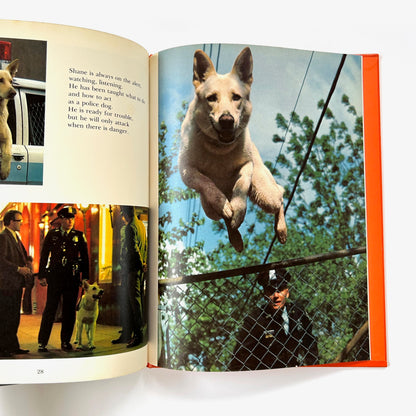 Dogs Working For People