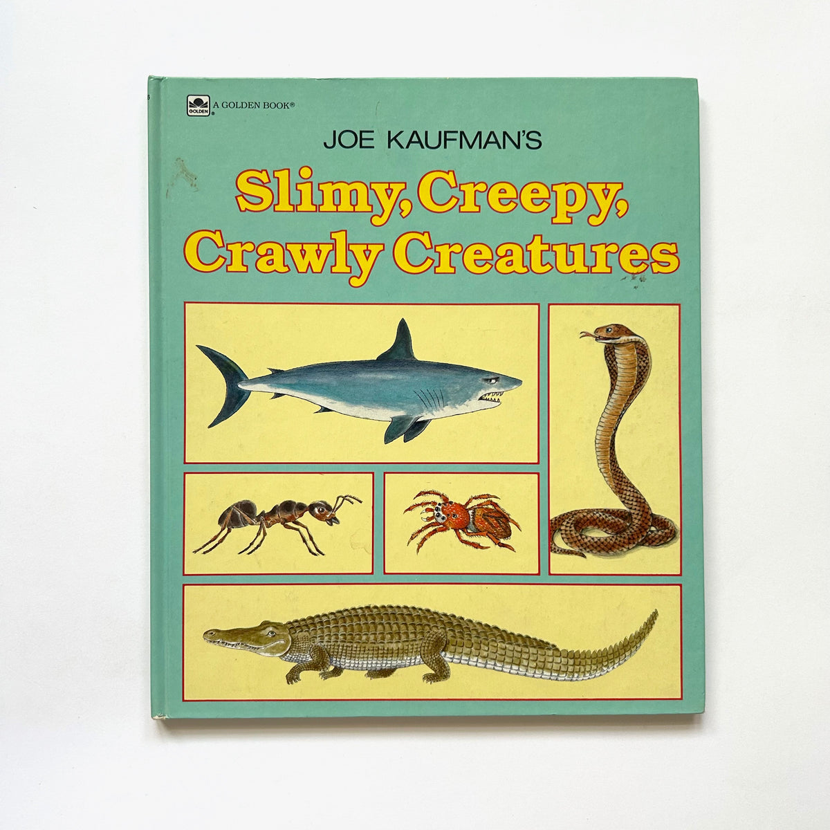 Slimy, Creepy, Crawly Creatures