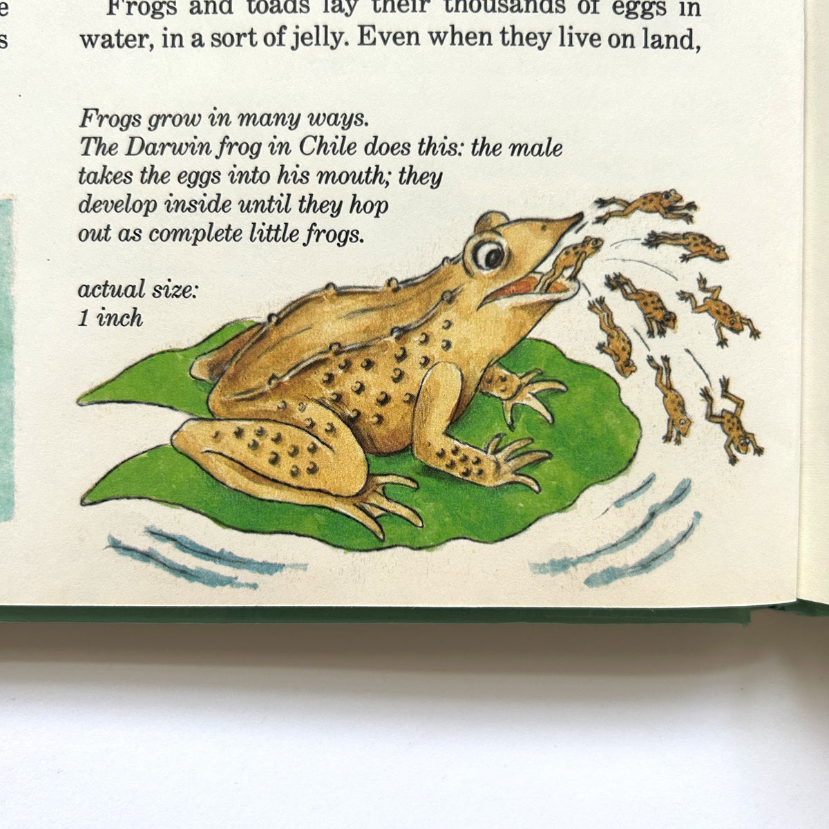 Slimy, Creepy, Crawly Creatures