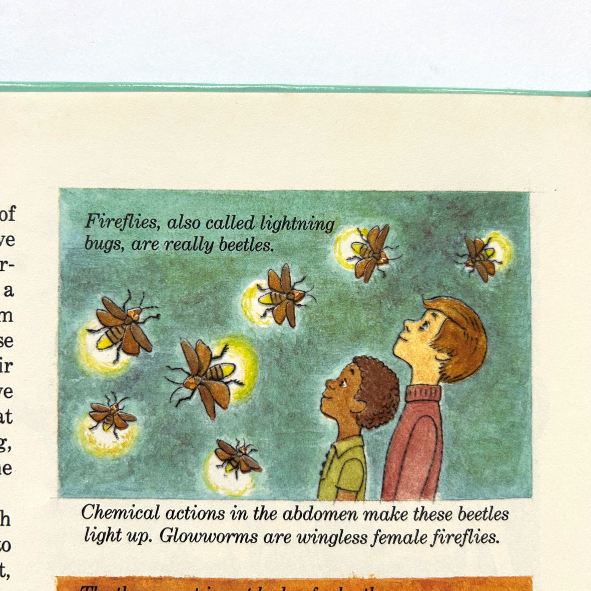 Slimy, Creepy, Crawly Creatures