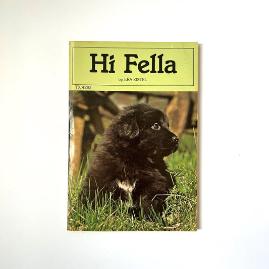 Hi Fella