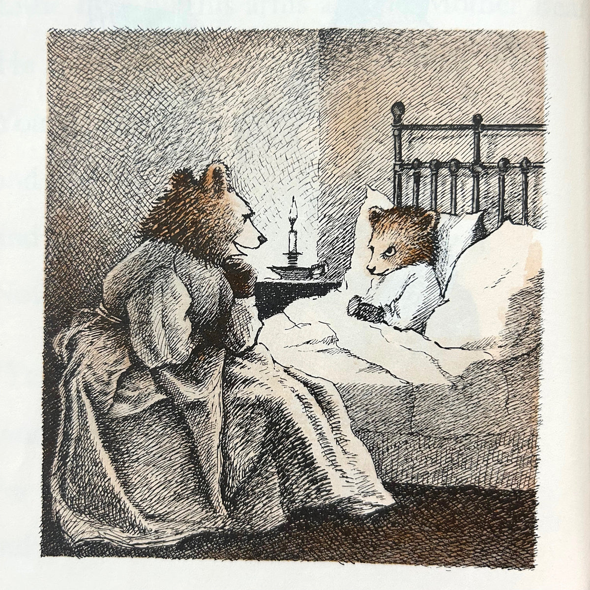 Little Bear