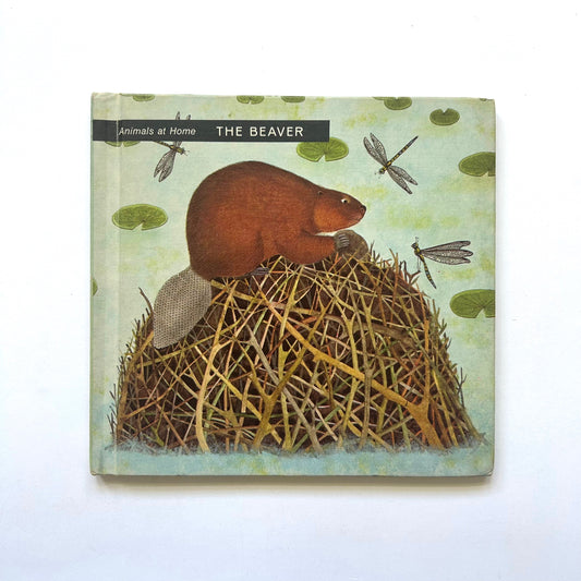 Animals at Home: The Beaver
