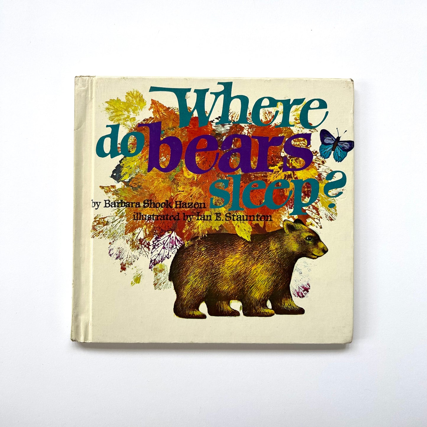 Where Do Bears Sleep?