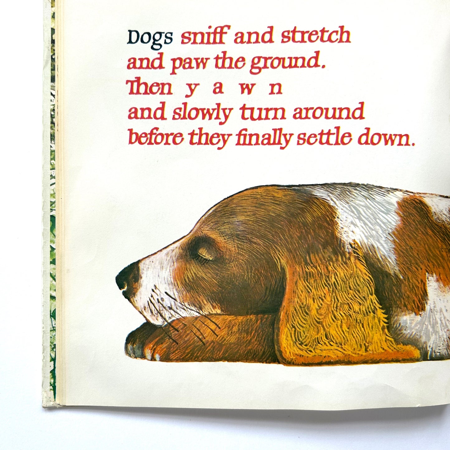 Where Do Bears Sleep?