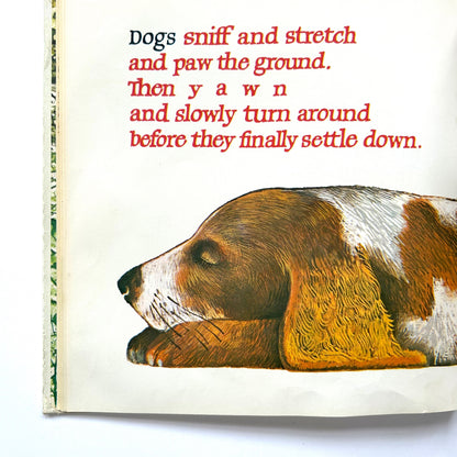 Where Do Bears Sleep?