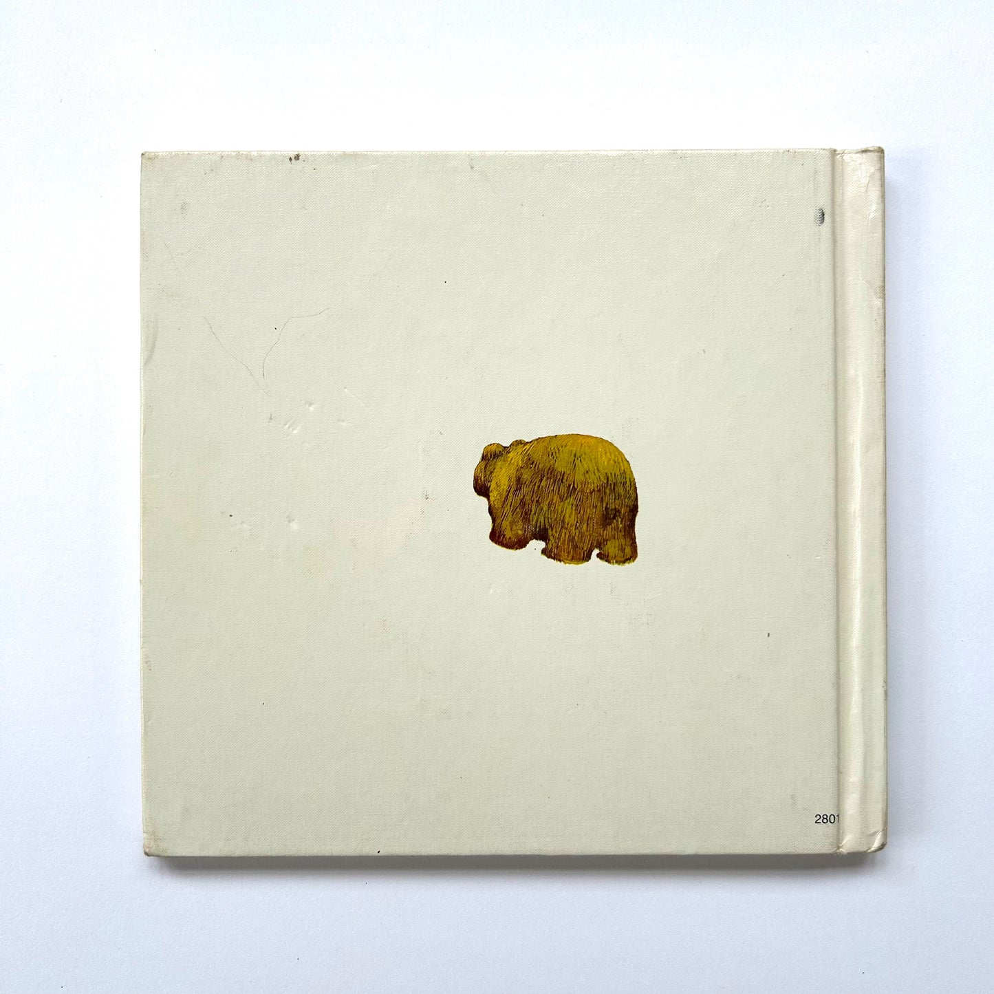 Where Do Bears Sleep?