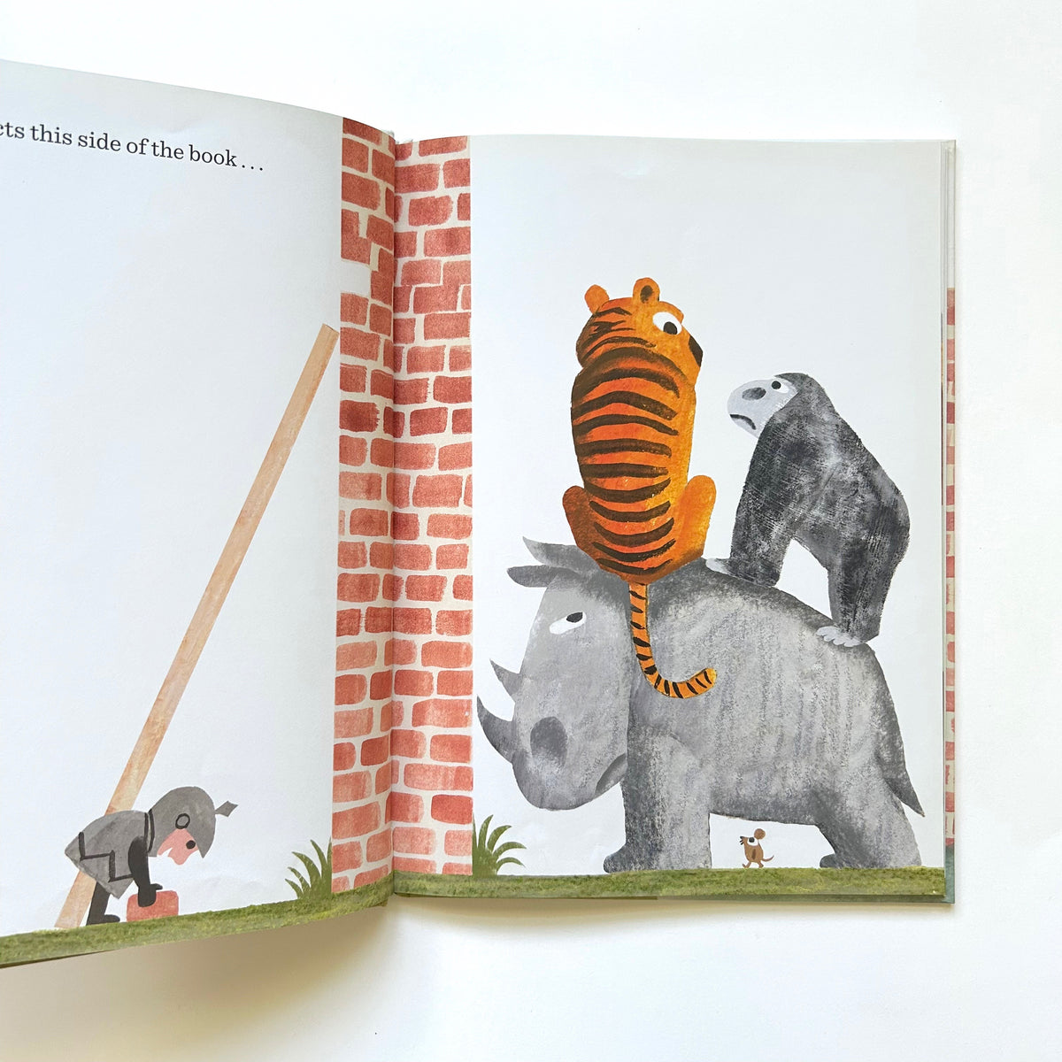 The Wall in the Middle of the Book